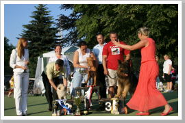 Klicken Sie auf das Bild, um es zu vergrößern