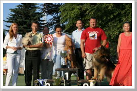 Klicken Sie auf das Bild, um es zu vergrößern