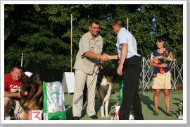 Klicken Sie auf das Bild, um es zu vergrößern