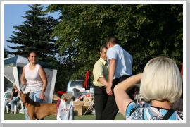 Klicken Sie auf das Bild, um es zu vergrößern