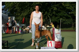 Klicken Sie auf das Bild, um es zu vergrößern