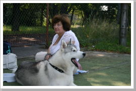 Klicken Sie auf das Bild, um es zu vergrößern