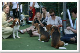 Klicken Sie auf das Bild, um es zu vergrößern