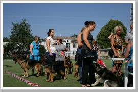 Klicken Sie auf das Bild, um es zu vergrößern