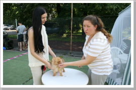 Klicken Sie auf das Bild, um es zu vergrößern