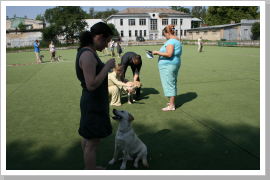 Klicken Sie auf das Bild, um es zu vergrößern