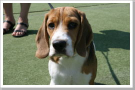 Klicken Sie auf das Bild, um es zu vergrößern