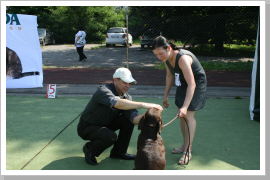 Klicken Sie auf das Bild, um es zu vergrößern