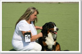 Klicken Sie auf das Bild, um es zu vergrößern