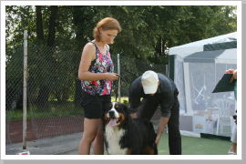 Klicken Sie auf das Bild, um es zu vergrößern