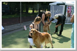 Klicken Sie auf das Bild, um es zu vergrößern