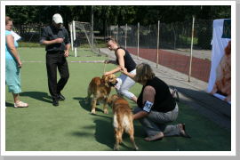 Klicken Sie auf das Bild, um es zu vergrößern