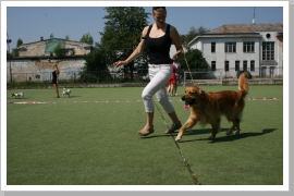 Klicken Sie auf das Bild, um es zu vergrößern