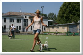 Klicken Sie auf das Bild, um es zu vergrößern