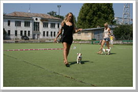 Klicken Sie auf das Bild, um es zu vergrößern