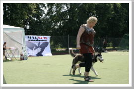 Klicken Sie auf das Bild, um es zu vergrößern