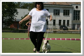 Klicken Sie auf das Bild, um es zu vergrößern