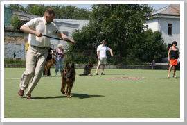 Klicken Sie auf das Bild, um es zu vergrößern