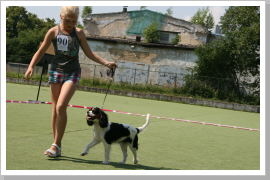 Klicken Sie auf das Bild, um es zu vergrößern