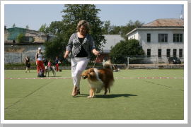 Klicken Sie auf das Bild, um es zu vergrößern