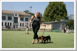 Klicken Sie auf das Bild, um es zu vergrößern