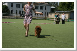 Klicken Sie auf das Bild, um es zu vergrößern