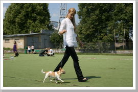 Klicken Sie auf das Bild, um es zu vergrößern