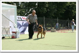 Klicken Sie auf das Bild, um es zu vergrößern